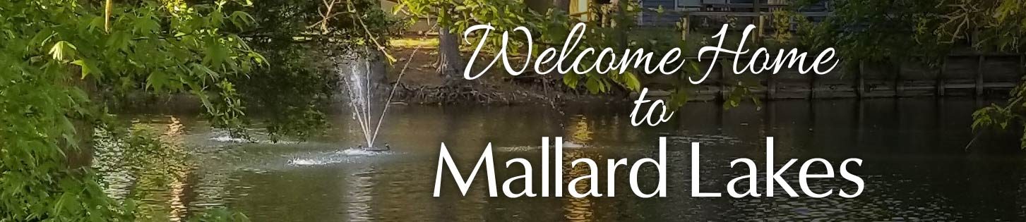 Mallard Lakes Homes